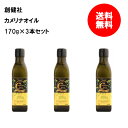 送料無料 創健社 カメリナオイル 170g 3本セット