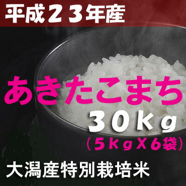 【平成23年度産】秋田県大潟村産◆産地直送 「あきたこまち」 30kg【送料無料】【精米無料】【産地直送】【無洗米・胚芽米・玄米・白米】【特別栽培米】さらに！秋田名産もれなくプレゼント☆【送料無料-0412】