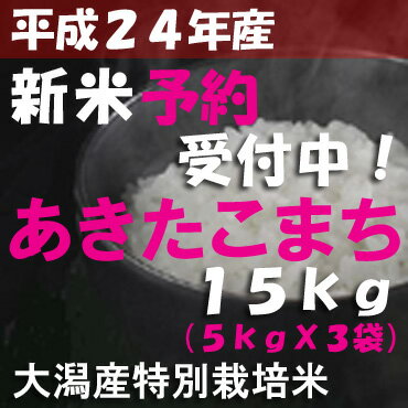 【平成24年度産新米受付】秋田県大潟村産◆産地直送 「あきたこまち」 新米 15kg【送料無料】【精米無料】【産地直送】【無洗米・胚芽米・玄米・白米】【特別栽培米】さらに！甘〜いトウモロコシまたは新ジャガイモプレゼント☆【送料無料-0412】