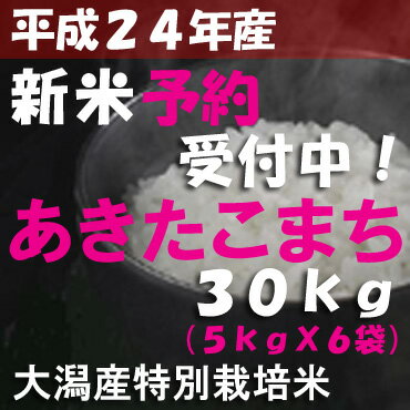 【平成24年度産新米受付】秋田県大潟村産◆産地直送 「あきたこまち」 新米 30kg【送料無料】【精米無料】【産地直送】【無洗米・胚芽米・玄米・白米】【特別栽培米】さらに！甘〜いトウモロコシまたは新ジャガイモプレゼント☆【送料無料-0412】