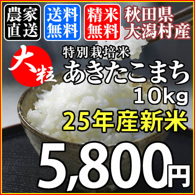 【25年産新米】【送料無料】【選べる精米】本物志向のグルメ米！100%秋田県大潟村産特別栽培米大粒あきたこまち【白米・無洗米・胚芽米・玄米・分つき米】10kg（5kg×2袋）