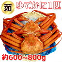 釜茹 香住がに 約600g〜800g 1匹 (ゆでかに)松葉...