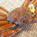 タグ付き 香住がに 約1kg以上 1匹 (生)・(ゆでかに)...
