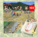 【28年度 新米】【無農薬】たにぐちのあいがも米 2キロ(真空パック)兵庫県浜坂産 2kg P08Apr16