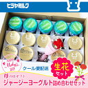 【遅れてごめんね】【母の日ギフト】生花のカーネーションとジャ...