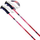 【エントリーでポイント10倍!9/23 10:00~9/30 9:59まで】SALOMON〔サロモン レディース スキーポール・ストック〕SHIVA〔シバ〕〔pink〕