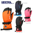 HESTRA〔ヘストラ ジュニアスキーグローブ〕32532 CZONE 3-FINGER JR〔シーゾーン3フィンガージュニア〕