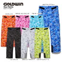 ★GOLDWIN〔ゴールドウィン スキーウェア〕RAY PANTS G31715P【送料無料】【技術選着用モデル】