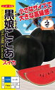 黒皮紅小玉スイカ 種 『黒娘ここあ』 小袋(8粒) ナント種...