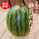 【送料無料】★【砂丘のたまご】1玉小玉だから旨い人