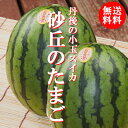 【送料無料】★【砂丘のたまご】2玉小玉だから旨い人気の砂丘すいか！【ハウス栽培6/13〜7/初旬発送】【路地栽培7/第2週目頃予定】シャリシャリとした歯ごたえお中元・贈り物に【smtb-k】【ky】【京都丹後　久美浜産】【お中元ギフトにスイカをどうぞ】