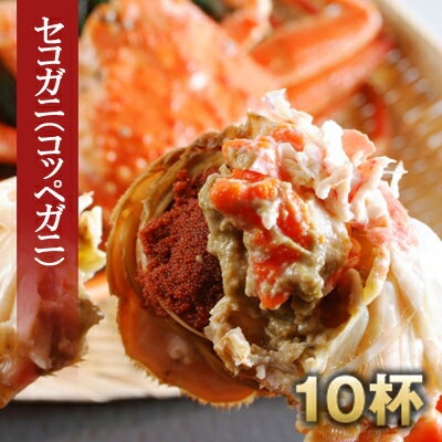 【せこがに 送料無料】11/30日まで特別料金★【茹】松葉ガニメス＜170g前後＞セコガニ10杯★【セコガニ】【せこガニ】【セコがに】【セコガニ 送料無料】【コッペ】【松葉ガニ 解禁】 【ズワイガニ 解禁】【松葉がに 通販】【ズワイガニ 通販】【か カニ】