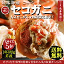 【せこがに 送料無料】★茹セコガニ<大サイズ180g前後>5...