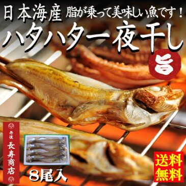 【送料無料】★日本海産ハタハタ一夜干し＜8枚＞【冷凍】干物ハタハタ【はたはた】【ハタハタ 干物】【ハタハタ レシピ】【ハタハタ 料理】【ハタハタ 通販】【ハタハタ 旬】【干物】【一夜干し】【干物 取り寄せ】【干物 通販】【はたはた】