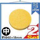 「メール便送料無料」「専用スポンジ」低周波治療器 スーパーテクトロン HP200専用替えスポンジ 中(1個入) x 2個セット【smtb-s】