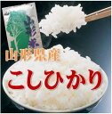 【28年産】【精米・送料無料】山形県産コシヒカリ1等 玄米 30kg