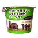 なめらか美味しいたのはたヨーグルト100g×6個