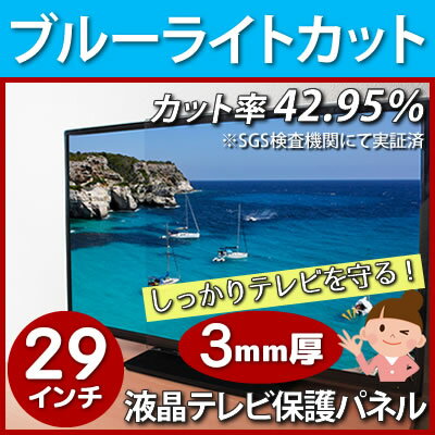 【7日20時-12日1:59★全品ポイント10倍以上】液晶テレビ保護パネル ブルーライトカ…...:tanonmasuwa:10000445