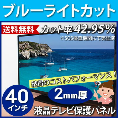 【7日20時-12日1:59★全品ポイント10倍以上】ブルーライトカット 液晶テレビ保護パ…...:tanonmasuwa:10000190