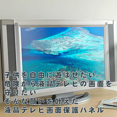 液晶テレビ保護パネル42型（42インチ）日本製アンダースピーカータイプの液晶テレビ対応3Dテレビ対応【液晶保護パネル・液晶テレビ保護カバー】（MMR−42）【送料無料】