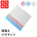 特別企画品 驚きの吸水力 珪藻土 バスマット 速乾 抗菌 足...
