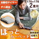 ★今夜20時〜4時間全品P10倍★【送料無料】 ホットカーペ...