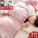 【送料無料】 純ポーランド ホワイト マザー グース 95%...