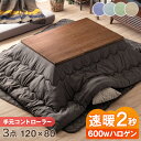 ★20時〜4H全品P5倍★【送料無料】 速暖2秒 600Wハ...