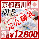  京都西川 羽毛布団 ポーランド産 ダックダウン85％ かさ高14cm以上！シングル ロング 羽毛掛け布団 *アックス* 掛け布団 羽毛 布団 掛布団 羽毛ふとん 日本製 国産 N85-12京都西川 羽毛布団 ダウン85％ かさ高14cm以上！西川 シングル 羽毛掛け布団 掛け布団 布団 掛布団 羽毛ふとん 日本製 掛ふとん 国産 羽毛ふとん