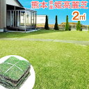 産地直送!【送料無料】熊本県産姫高麗芝 天然芝 芝生 2平米 コウライシバ 熊本県産 姫高麗芝 高麗芝 お手入れ簡単 ガーデン お庭 ゴルフ DIY ガーデニング 庭 緑 芝生 芝生 グリーン【代引き・後払い不可】