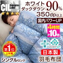 ★今夜20時〜4時間全品P10...