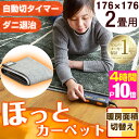 ★今夜20時〜4時間全品P10倍★【送料無料】 ホットカーペ...