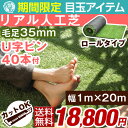★期間限定 18,800円!8/26(土)迄★【送料無料/在庫有】選べる2カラー 人工芝 ロール タイプ リアル U字固定ピン40本入 芝丈35mm 10m 1m×20m リアル人工芝 マット ピン U字ピン 庭 ふかふか 人工芝生 芝生マット ロール ガーデニング ベランダ ガーデン