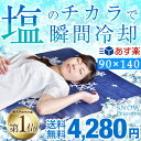 ★夏ボーナスフェア★【あす楽対応】 【送料無料/即日出荷】塩の力で瞬間冷却 敷きパッ