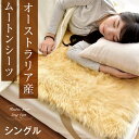 【在庫処分】【送料無料】オーストラリア産 ムートンシーツ シングル 90×190 長毛 ム