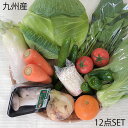 【送料無料】 九州の安心で美味しい野菜をダイレクトにご家庭へ!畑直! 12品目 おまかせ 野菜セット 九州産 冷蔵便 詰め合わせ 送料無料 野菜 国産 日本製 九州 詰めあわせ つめあわせ やさいセット おまかせ詰め合わせ 産地直送 やさい
