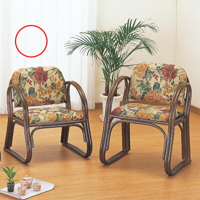 v֎q ROMANTIC RATTAN T-S109B