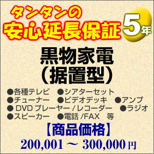 その他 H5-KS-159353【送料無料】5年間延長保証 黒物家電(据置型) 200001〜300000円