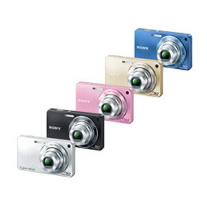 ͭ1410CCDˤʤ뵡ǽ褯Фꥹ Сåȥˡ DSC-W350