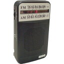 ANDO 周波数が合わせやすい大きな表示 「ハンディラジオ」 R14-488