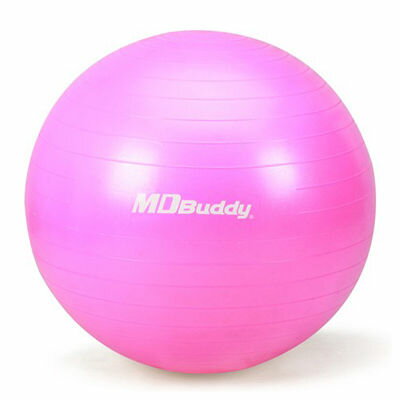 MDBuddy MDBuddy MD1225 バランスボール 55cm ピンク 空気入れ付…...:tantan:11223078