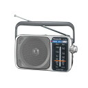 パナソニック FM/AM 2バンドレシーバー RF-2450-S【納期目安:1週間】