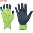 UVEX社 UVEX C500 フォーム L 6049469