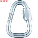 PEGUET社 PEGUET MR クイックリンク スチール製 デルタ 7.0mm MRDZ07.0