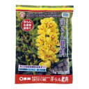 東商 洋らん肥料 1kg E105972H【納期目安:2週間】