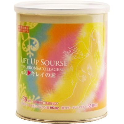 ほんもの総合研究所 Lift Up Source 元気キレイの素 210g E346677H