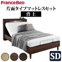 フランスベッド 電動リクライニングベッド 〔グラディス〕 セミダブルサイズ 1モーター 片