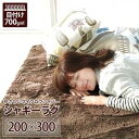 その他 ラグマット 洗える 長方形(200×300cm) ブラウン 【やさしいマイクロファイバーシャギーラグ】 〔北欧風 丸洗い カーペット〕 ds-1290853