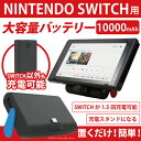 ITPROTECH Nintendo Switch