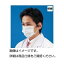 その他 クリーンマスク EFP-P(50枚入×20袋) ds-1597319